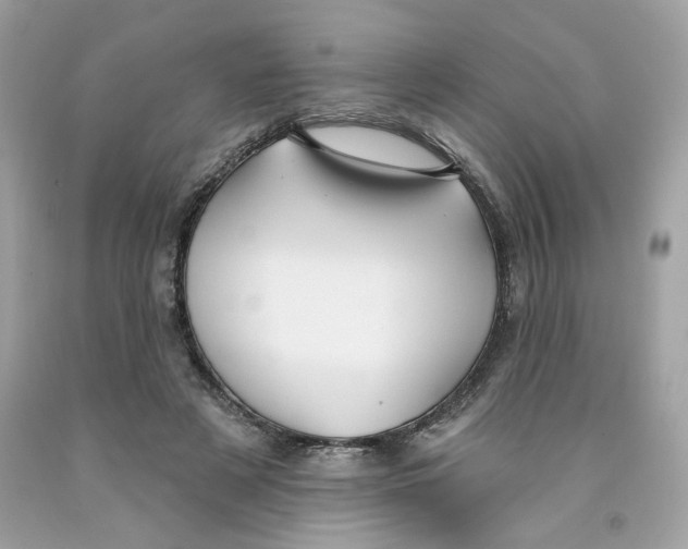 X0000091070497200709041222