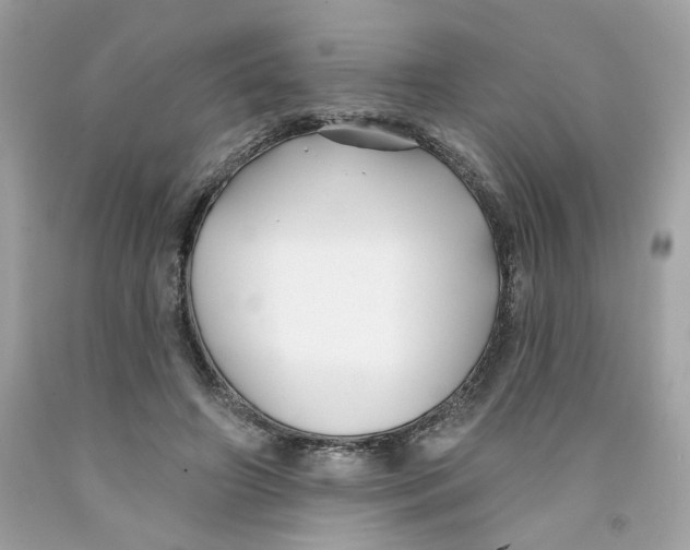 X0000091070498200709041222