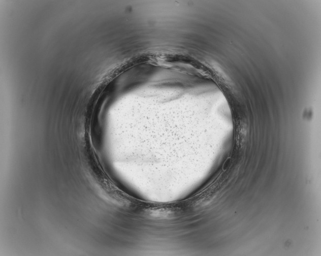 X0000091070500200709041222