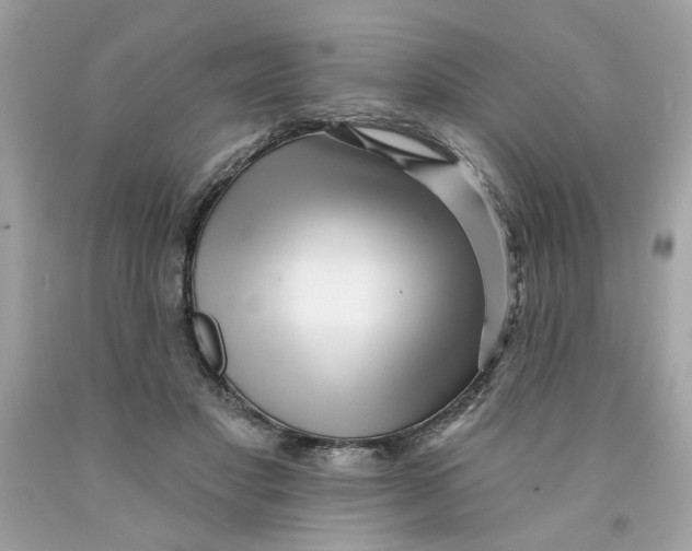 X0000091070501200709041222