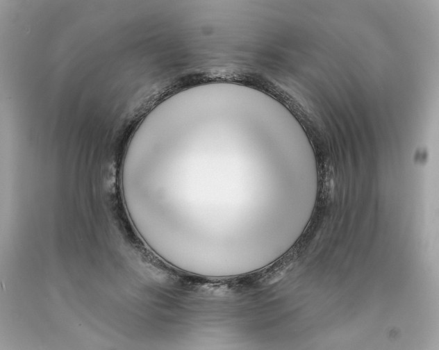 X0000091070502200709041222