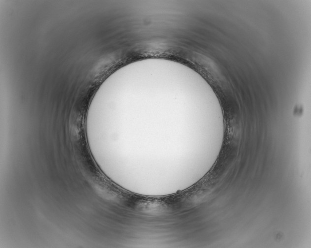 X0000091070503200709041222