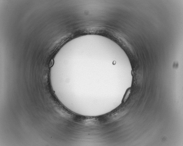 X0000091070505200709041222
