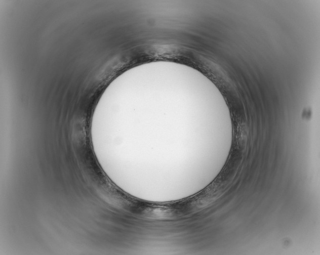 X0000091070506200709041222