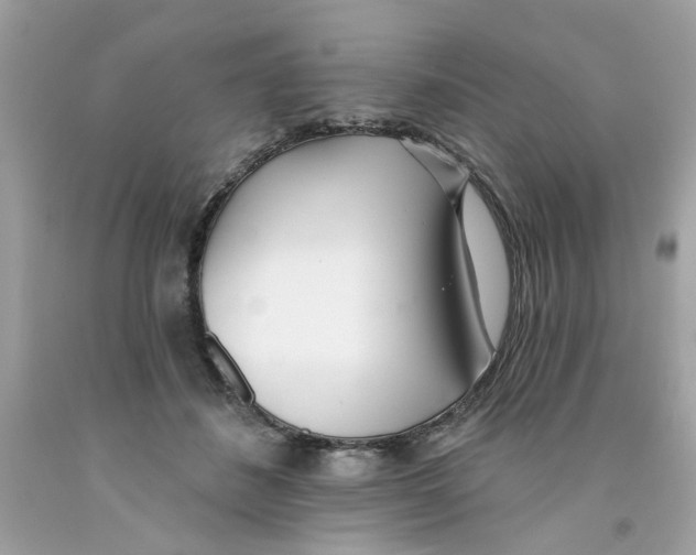 X0000091070508200709041222
