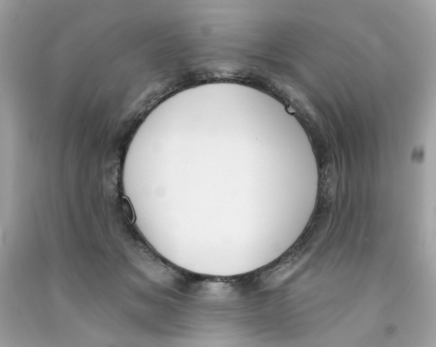 X0000091070509200709041222