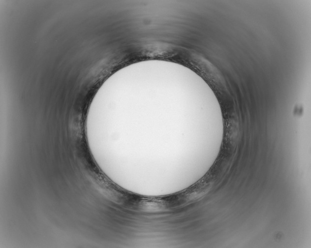 X0000091070510200709041222