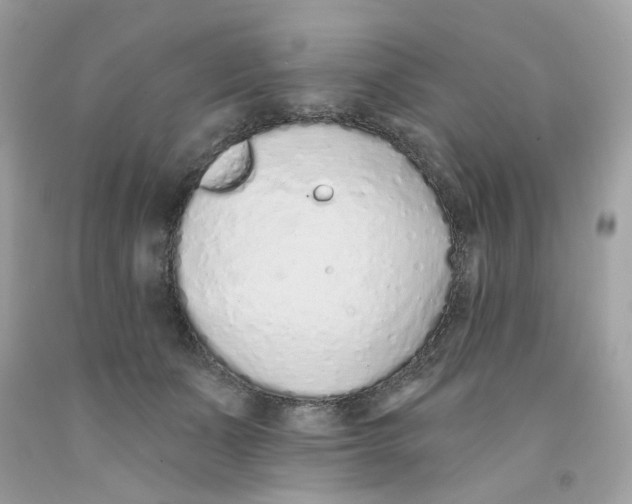 X0000091070511200709041222