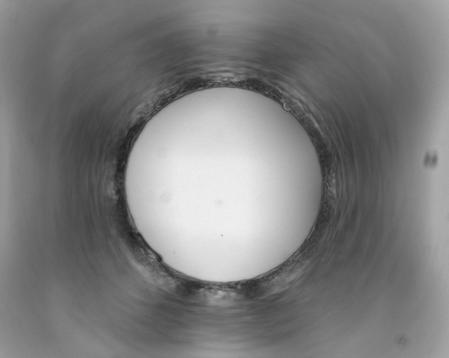 X0000091070512200709041222