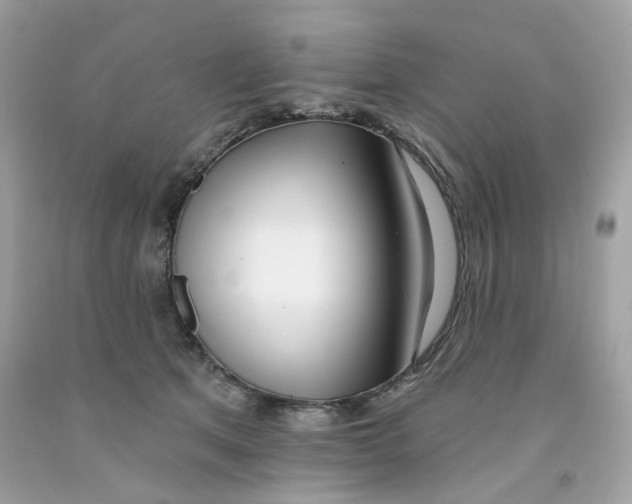 X0000091070513200709041222