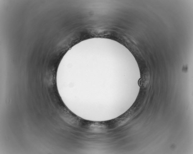 X0000091070515200709041222