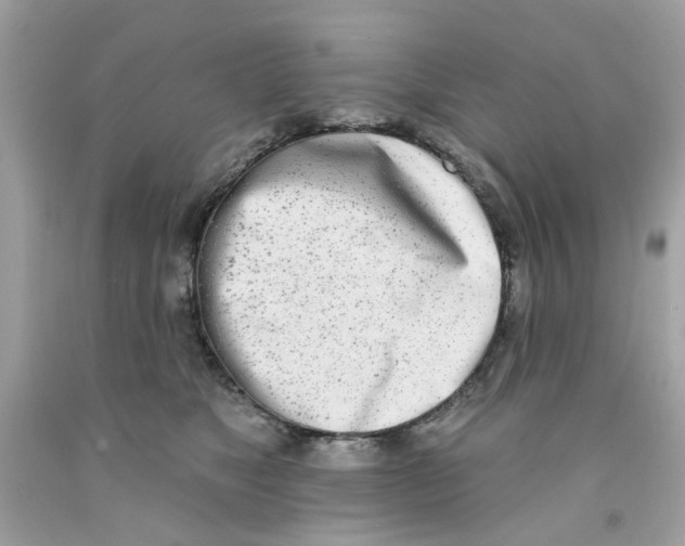X0000091070517200709041222