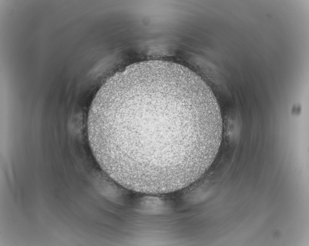 X0000091070519200709041222