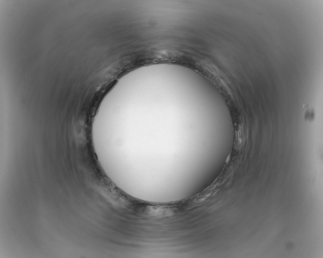 X0000091070520200709041222