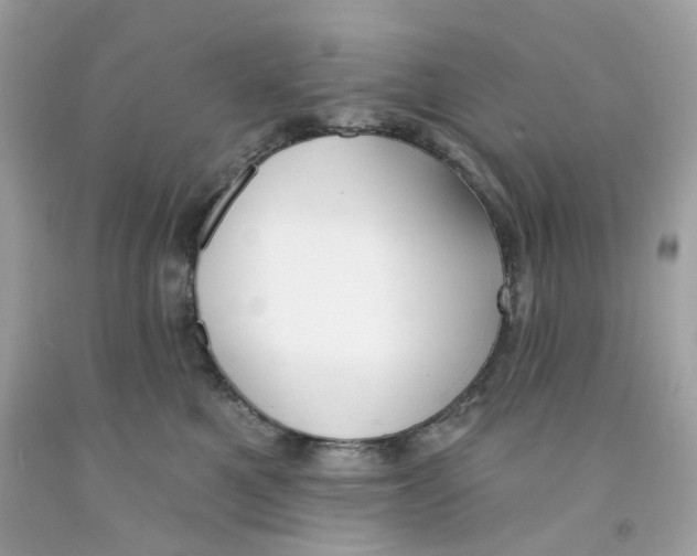 X0000091070521200709041222
