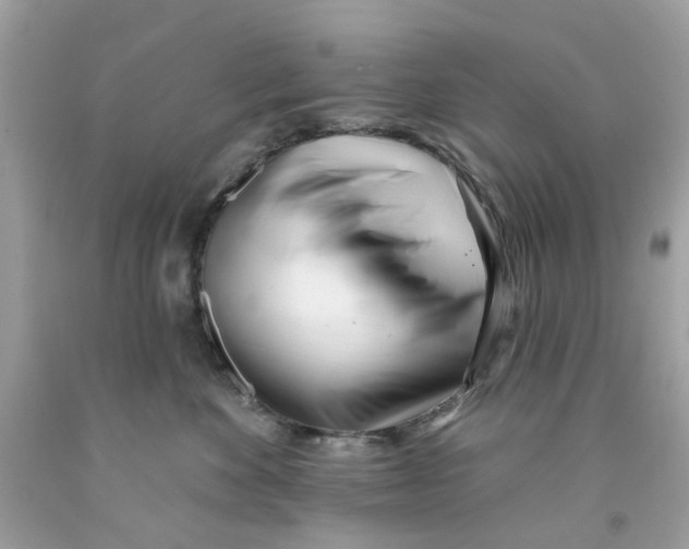 X0000091070524200709041222