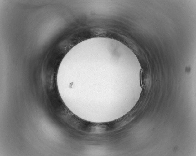 X0000091070525200709041222