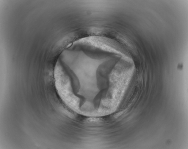 X0000091070526200709041222