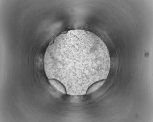 X0000091070527200709041222