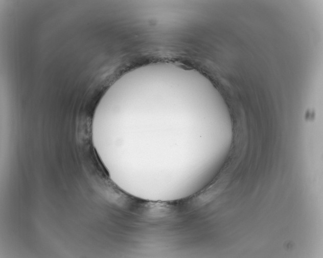 X0000091070528200709041222