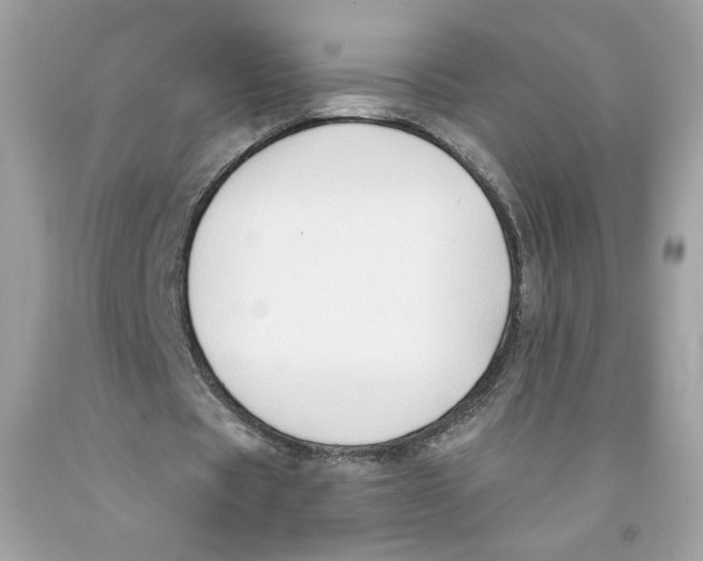 X0000091070529200709041221
