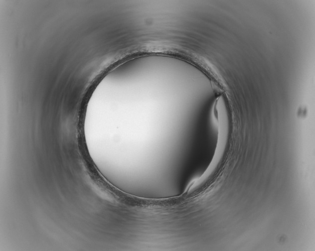 X0000091070530200709041221