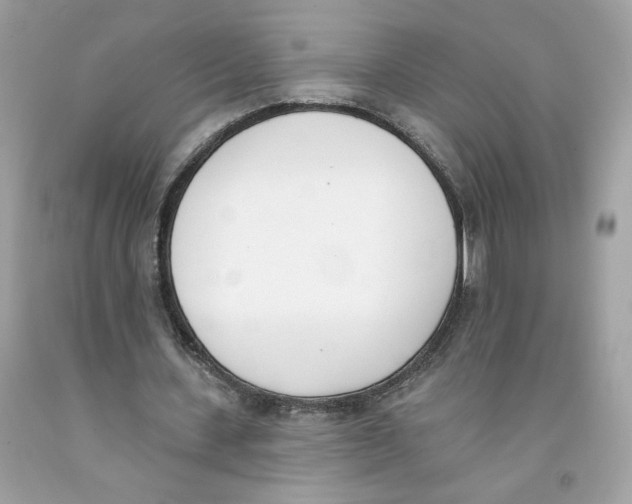 X0000091070531200709041221