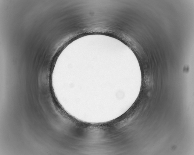 X0000091070534200709041221