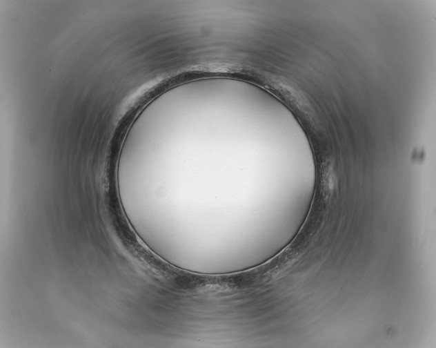 X0000091070536200709041221