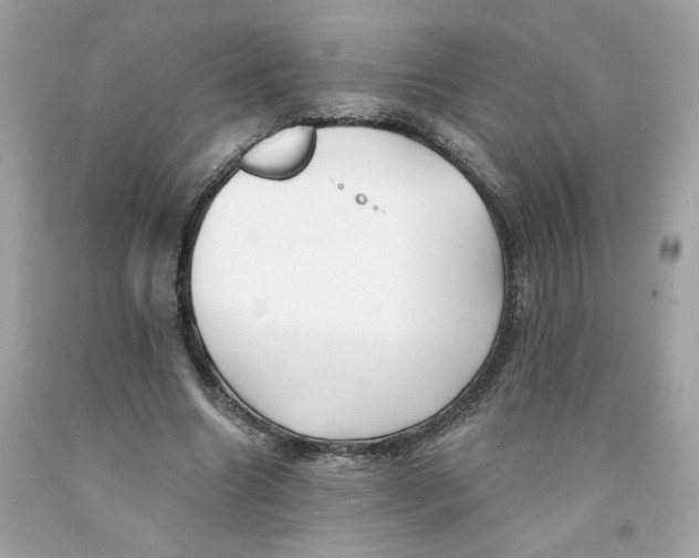 X0000091070538200709041221