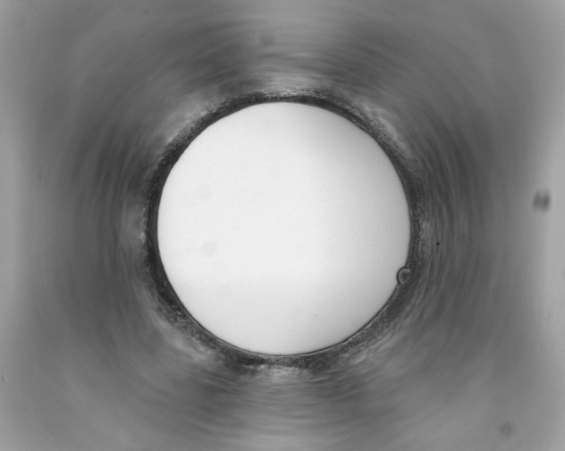 X0000091070539200709041221