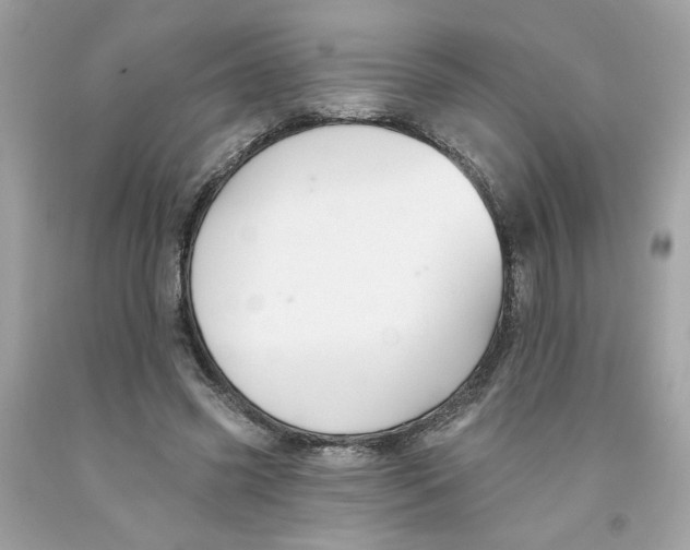 X0000091070541200709041221