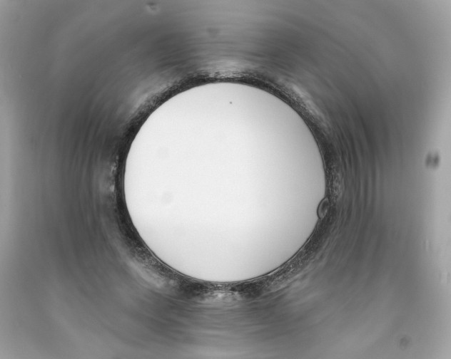 X0000091070543200709041221