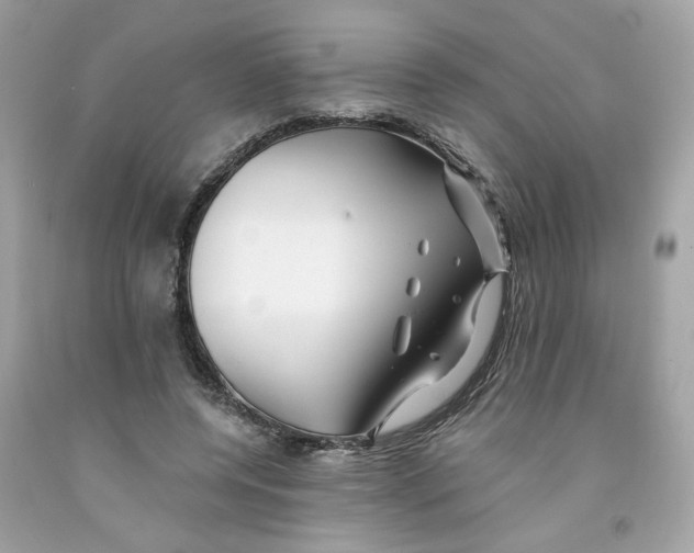 X0000091070544200709041221