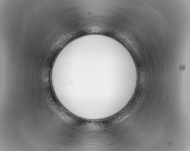X0000091070545200709041221