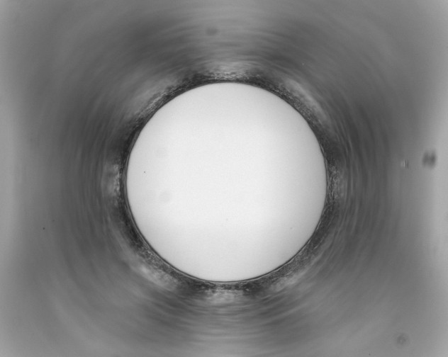 X0000091070549200709041221