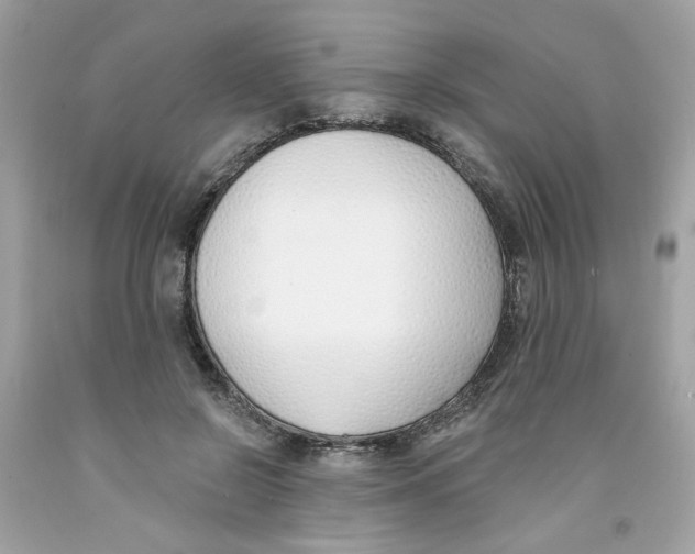 X0000091070550200709041221
