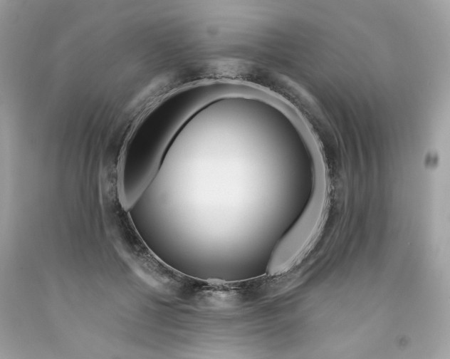 X0000091070552200709041221