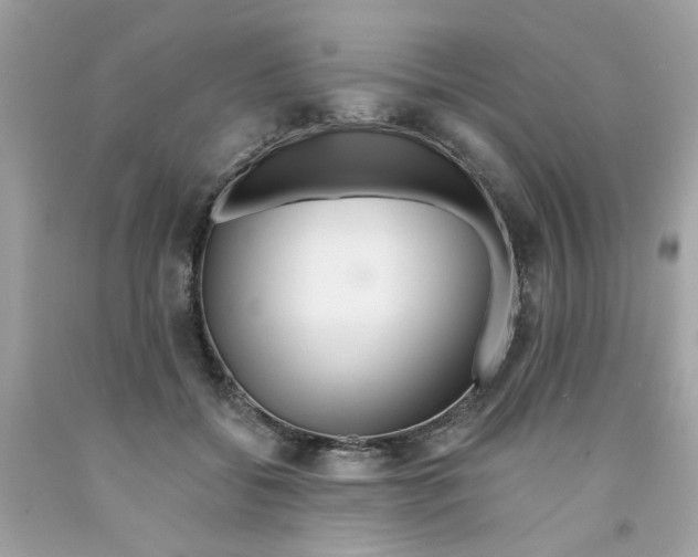 X0000091070556200709041221