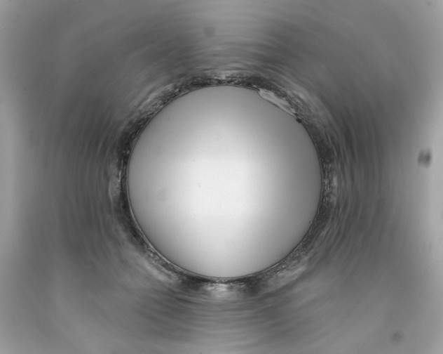 X0000091070558200709041221