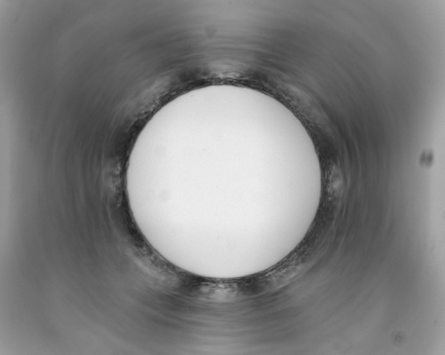 X0000091070559200709041222
