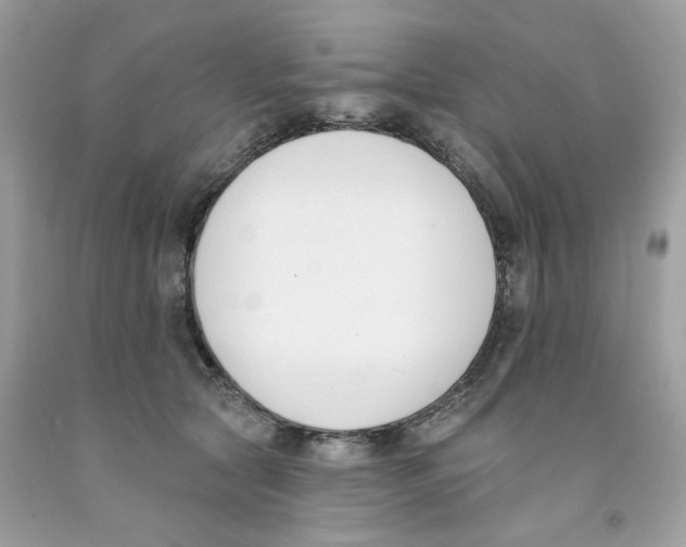 X0000091070561200709041222