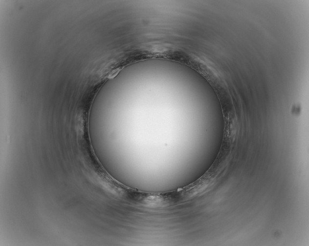 X0000091070562200709041222