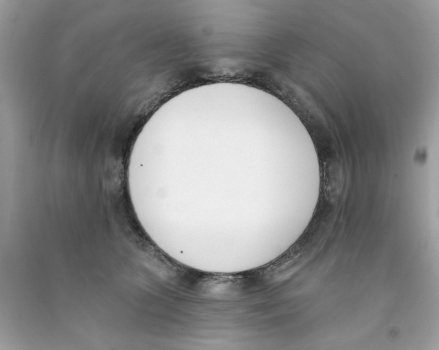 X0000091070563200709041222