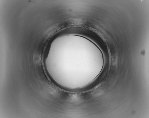 X0000091070564200709041222