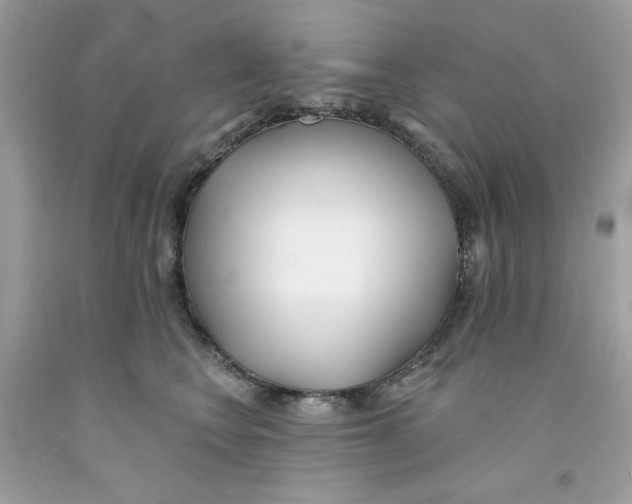 X0000091070566200709041222