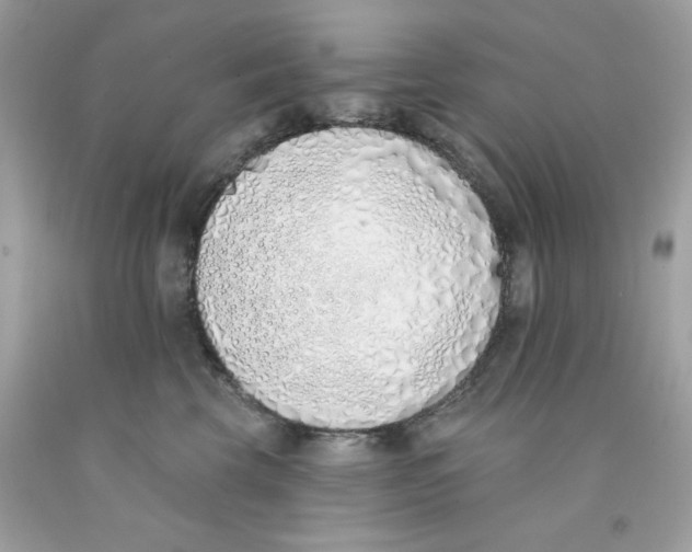 X0000091070569200709041222