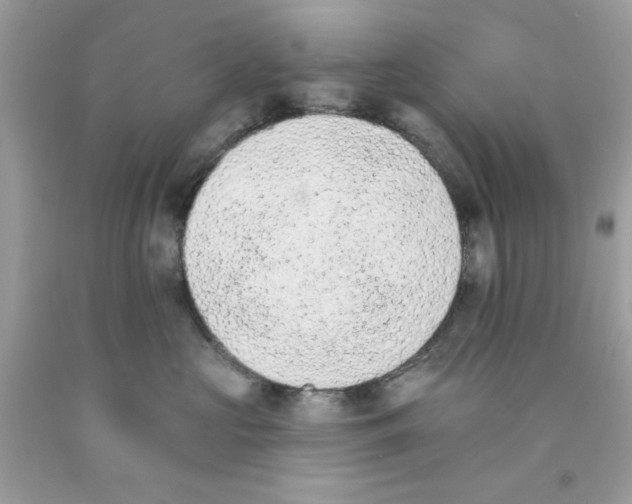 X0000091070573200709041222