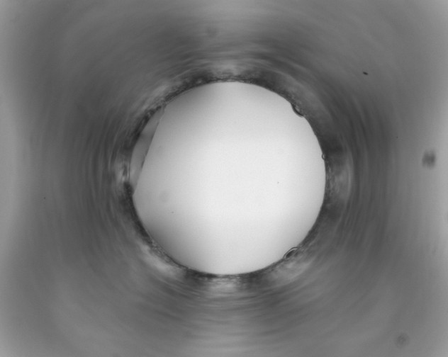 X0000091070574200709041222