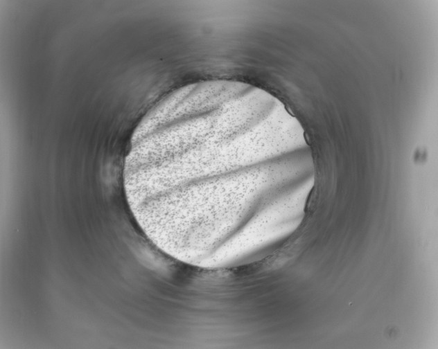 X0000091070576200709041222
